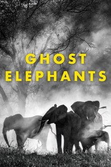 Ghost Elephants