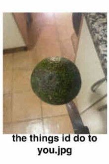 the things id do to you