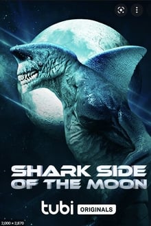 Shark Side of the Moon