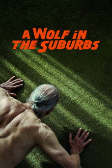 A Wolf in the Suburbs