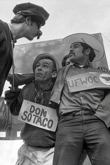 American Pachuco: The Legend of Luis Valdez