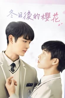 Cherry Blossoms After Winter